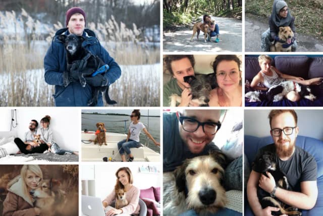 Wiersze na pożegnanie psa – emocjonalne słowa na trudny moment Wiersze na pożegnanie psa – emocjonalne słowa na trudny moment